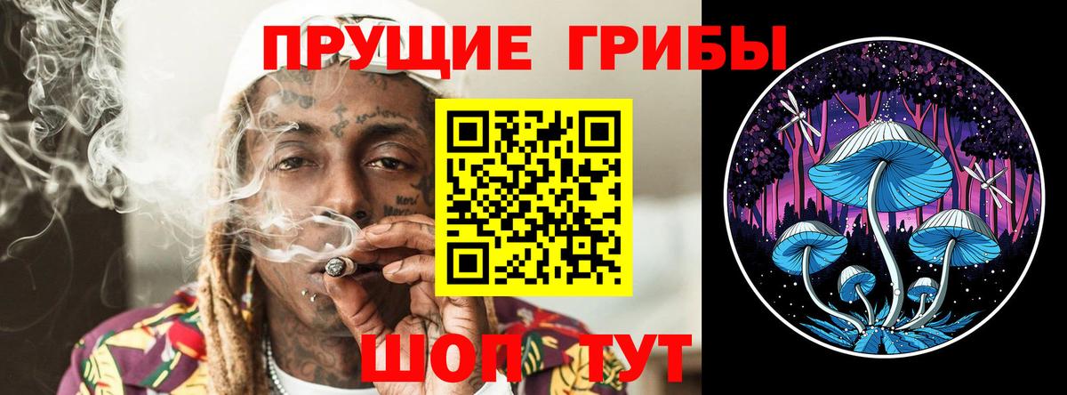 Галлюциногенные грибы прущие грибы  Вход с VPN  что такое   Мурино 