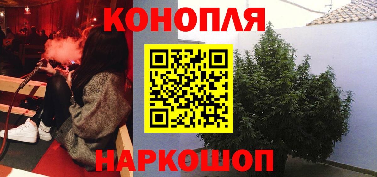 Канабис Bruce Banner  МАРИХУАНА семена  Вход с VPN  Мурино  Бошки Шишки семена  Каннабис VHQ 